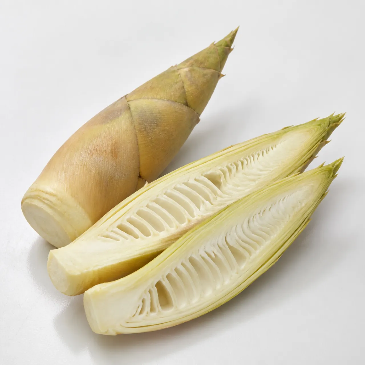 Pousse de bambou