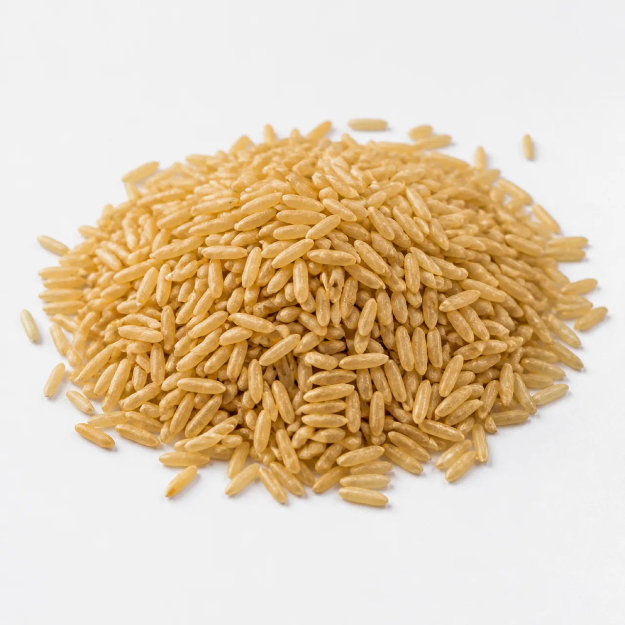 Riz complet