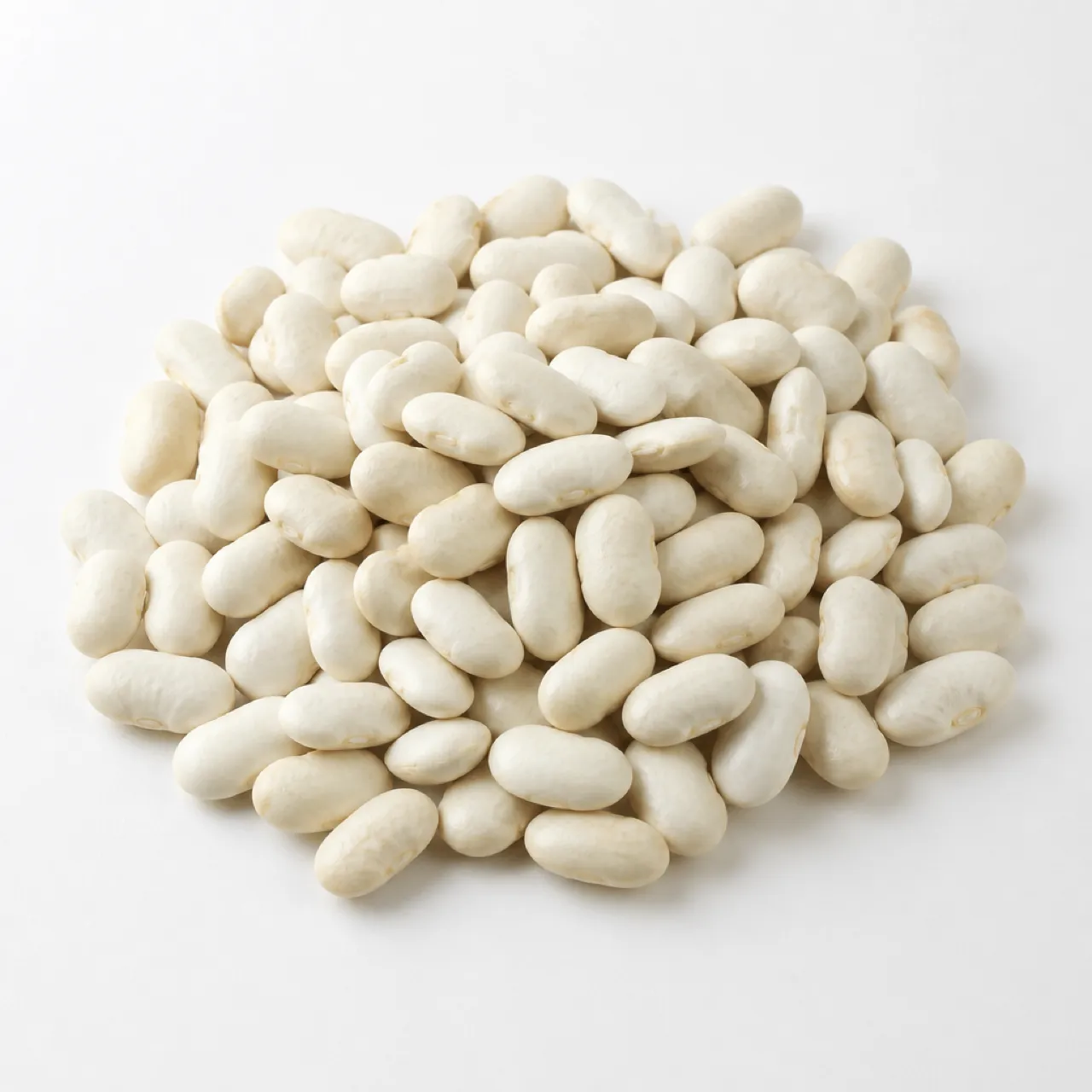 Cannellini