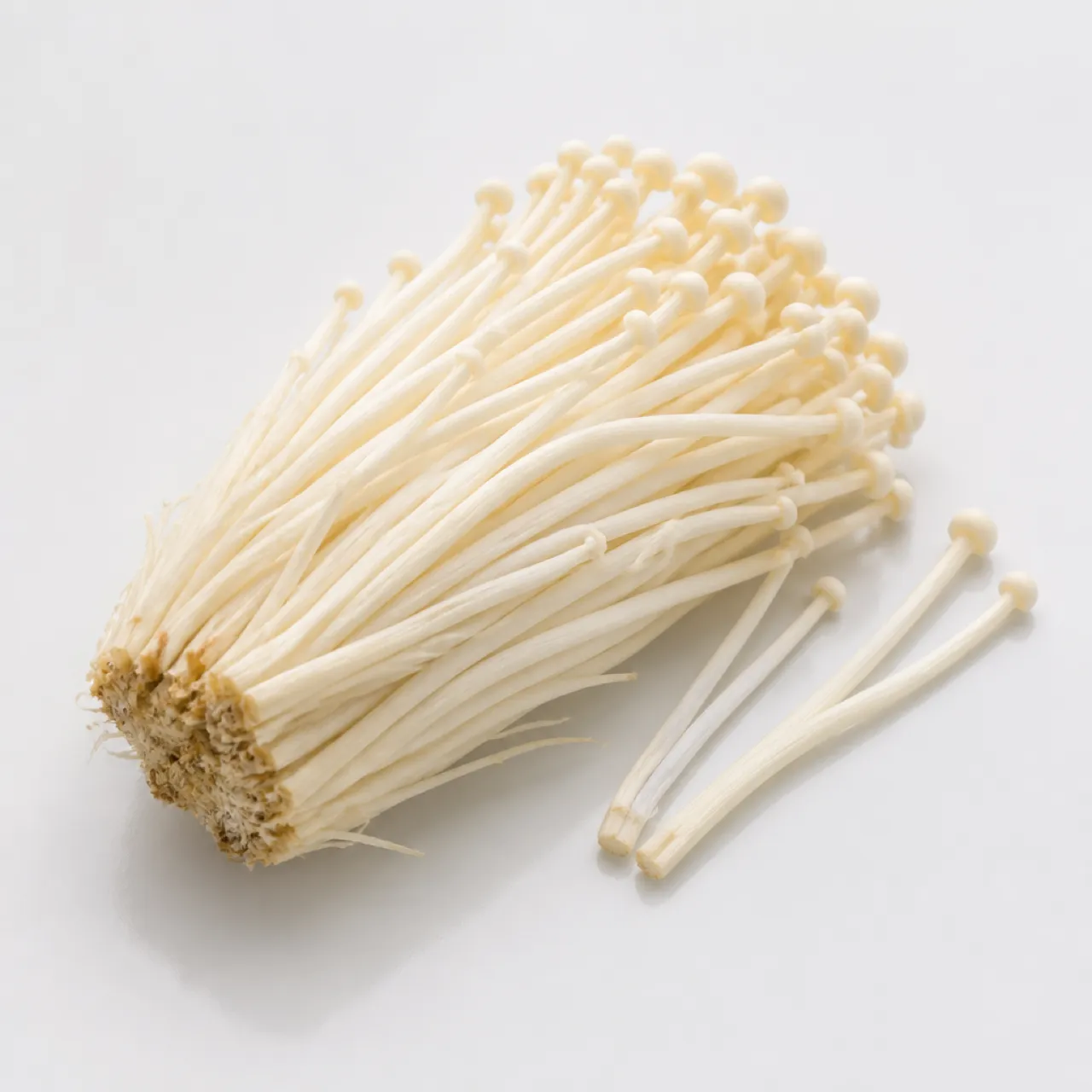 Seta enoki