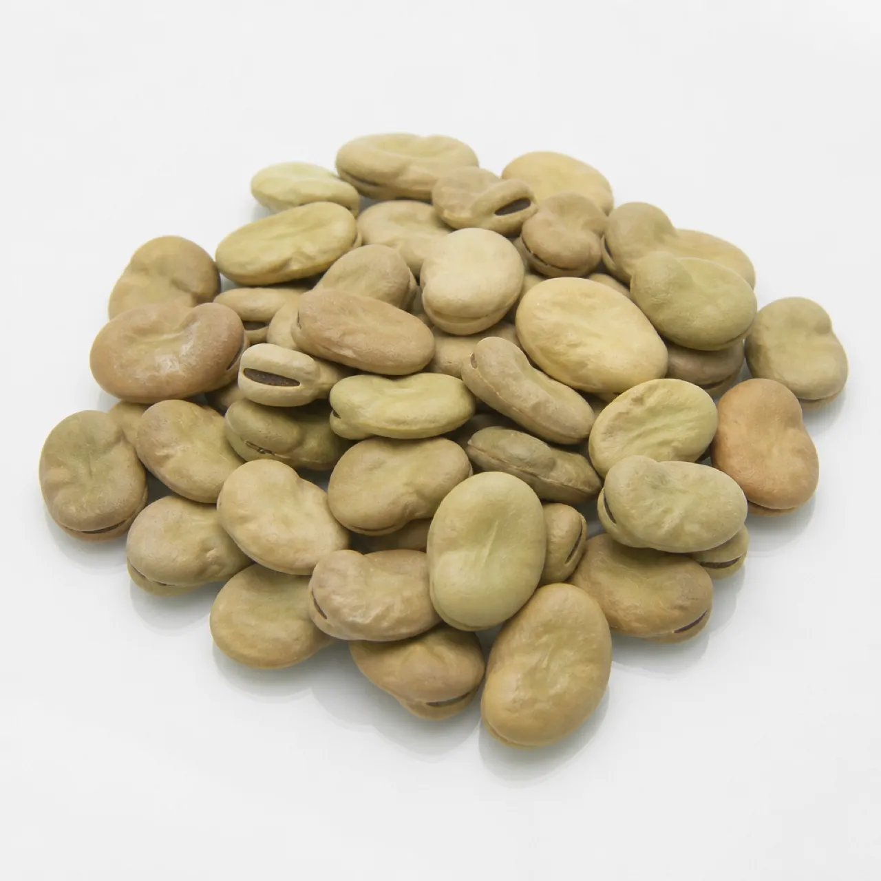 Fava