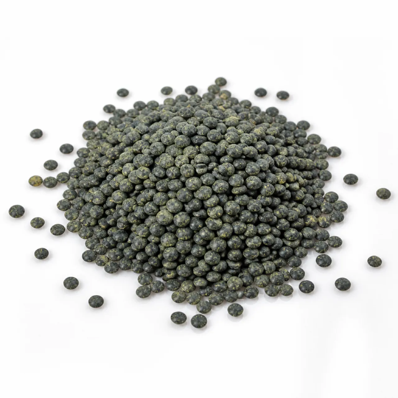 French Lentil