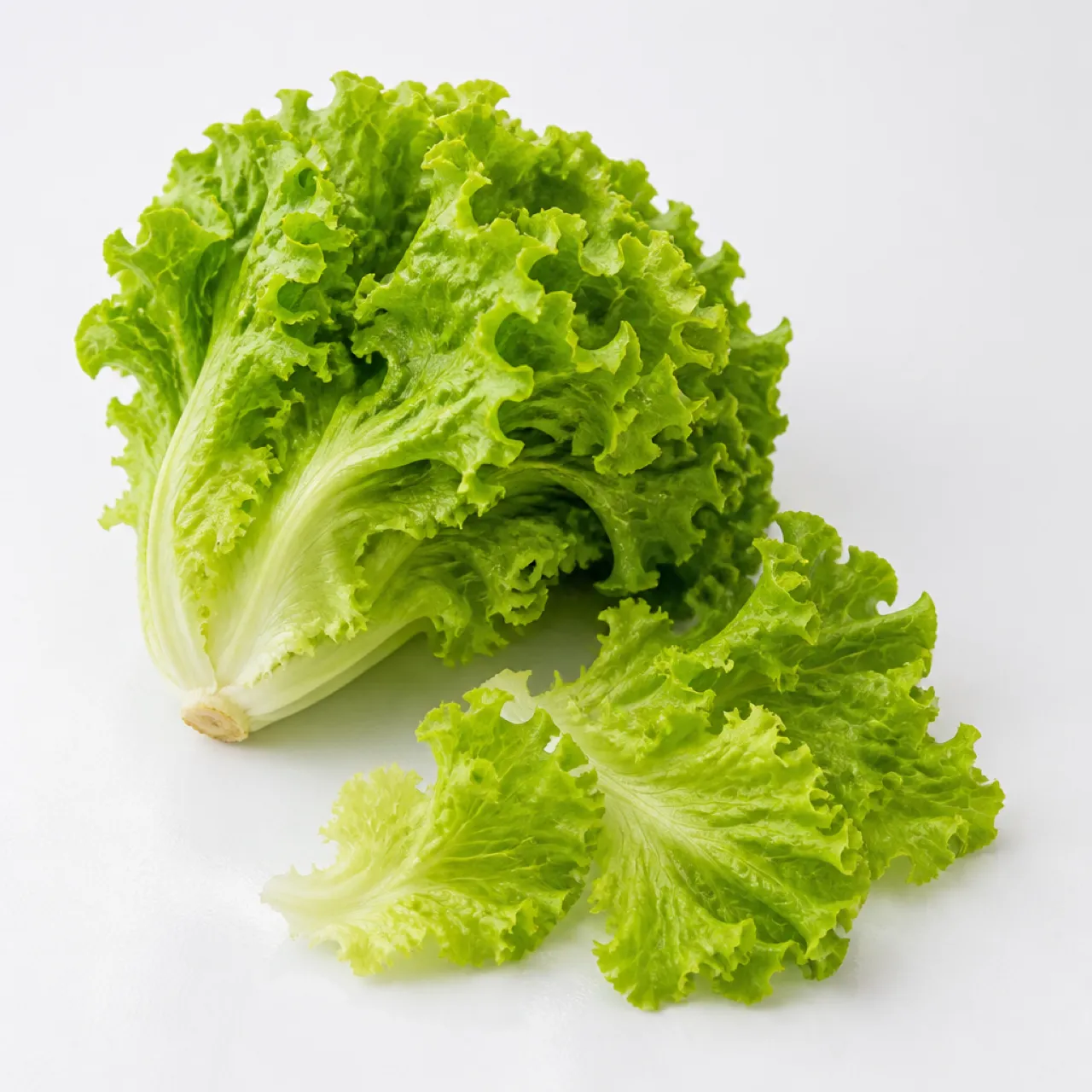 Blattsalat