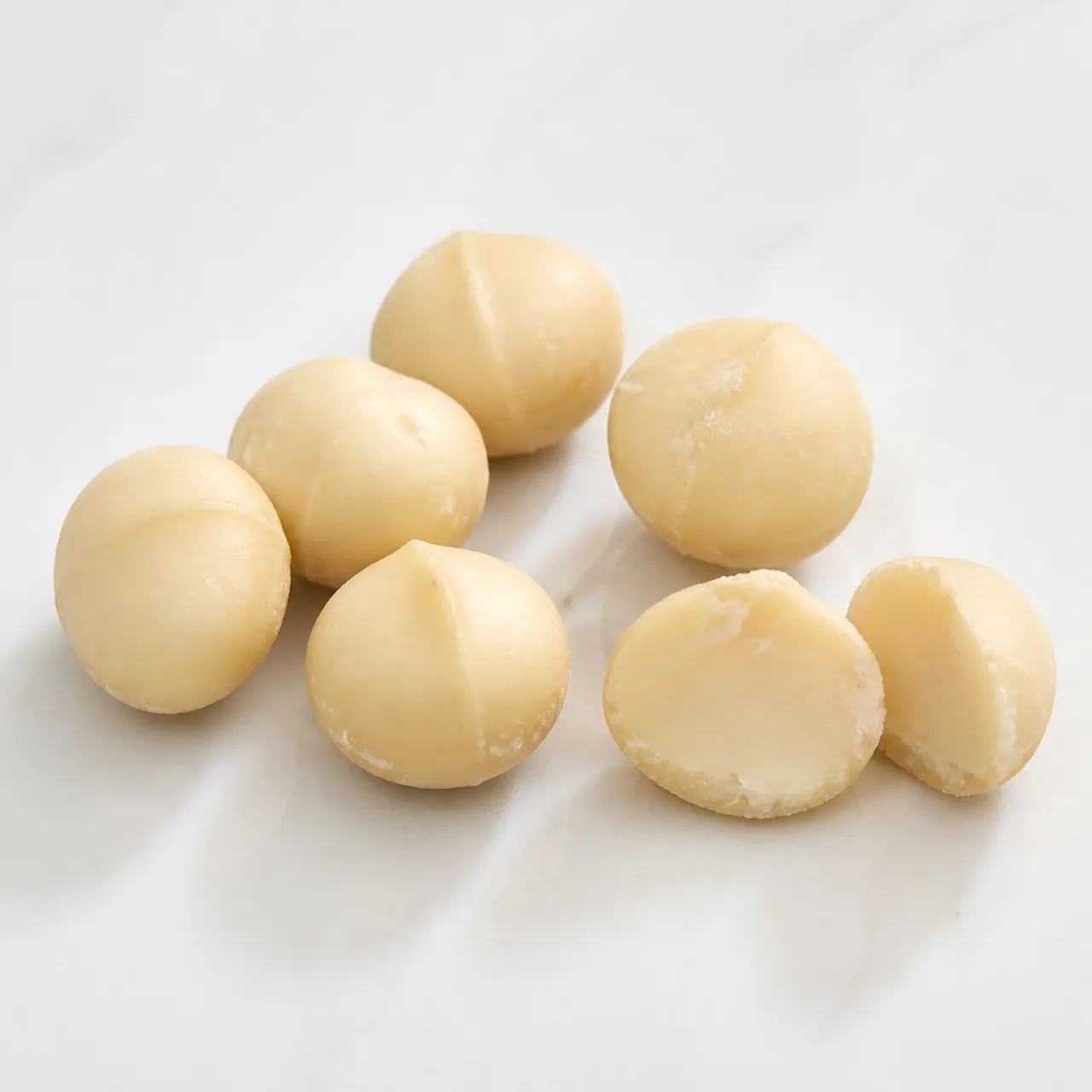 Macadamia