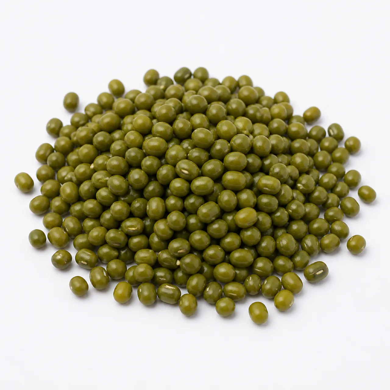 Mung Bean