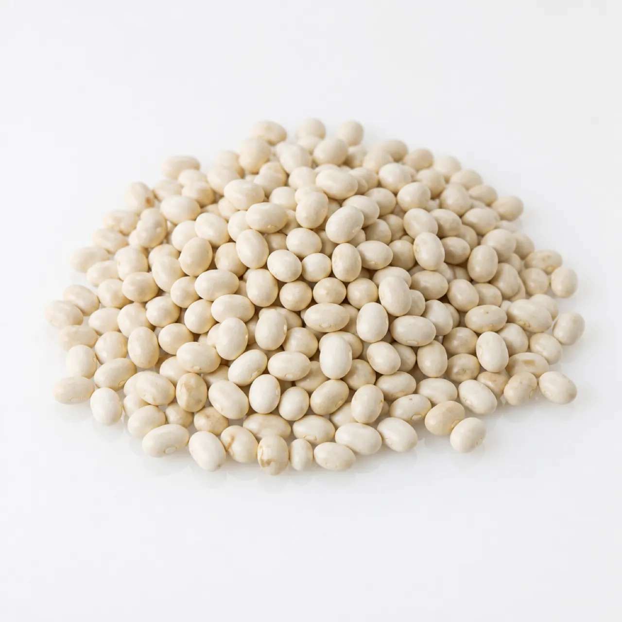 Fagiolo bianco