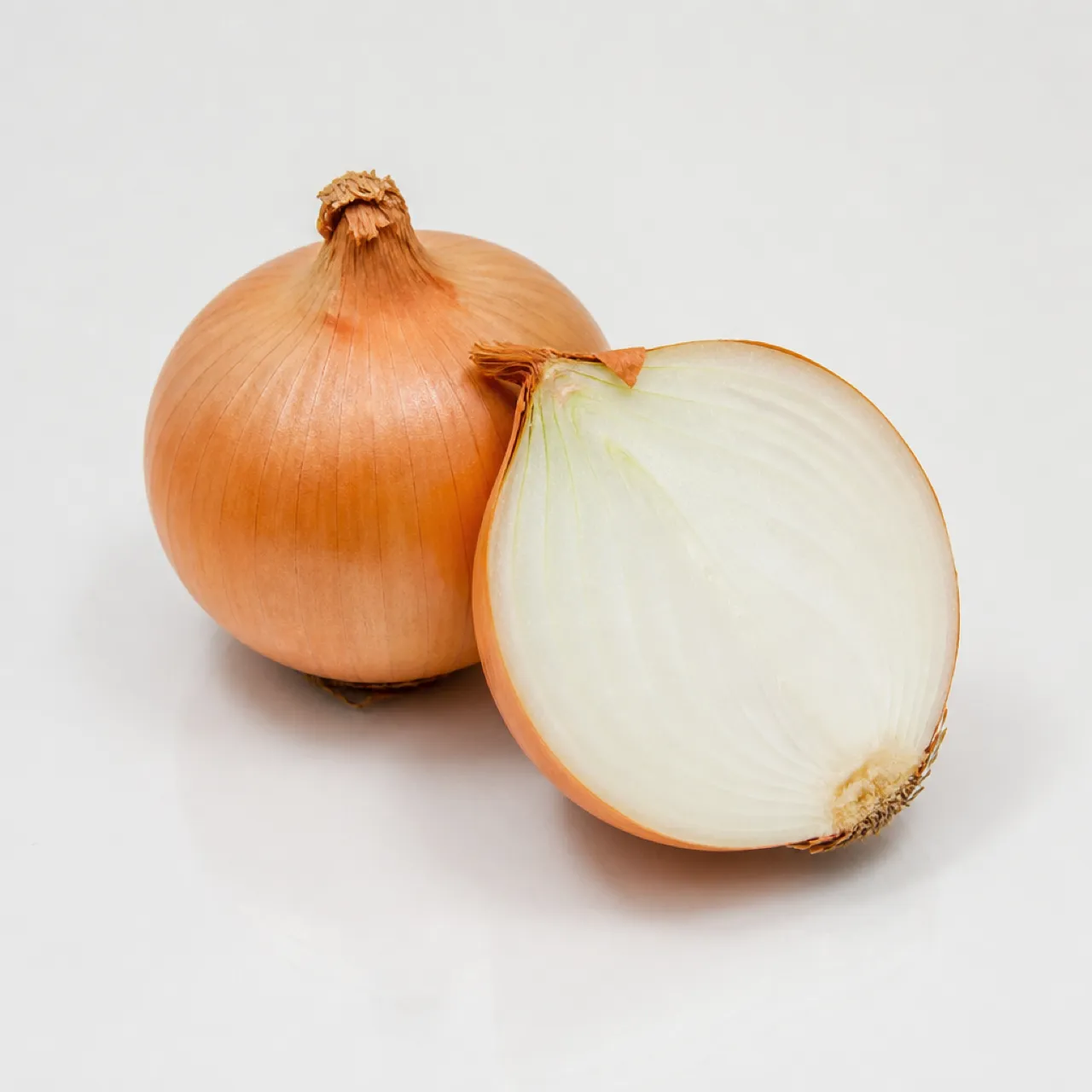 Onion