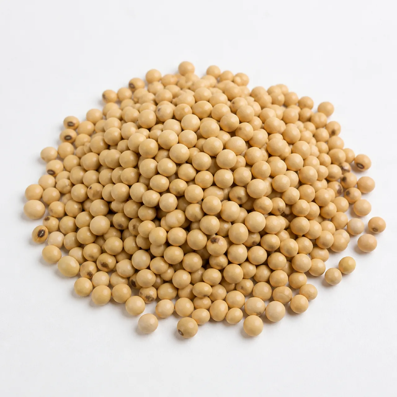 Pigeon Pea