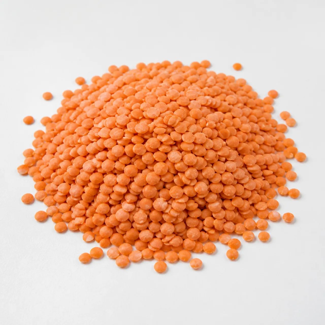 Red Lentil