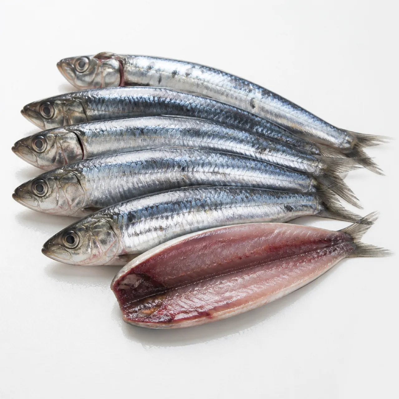 Sardine