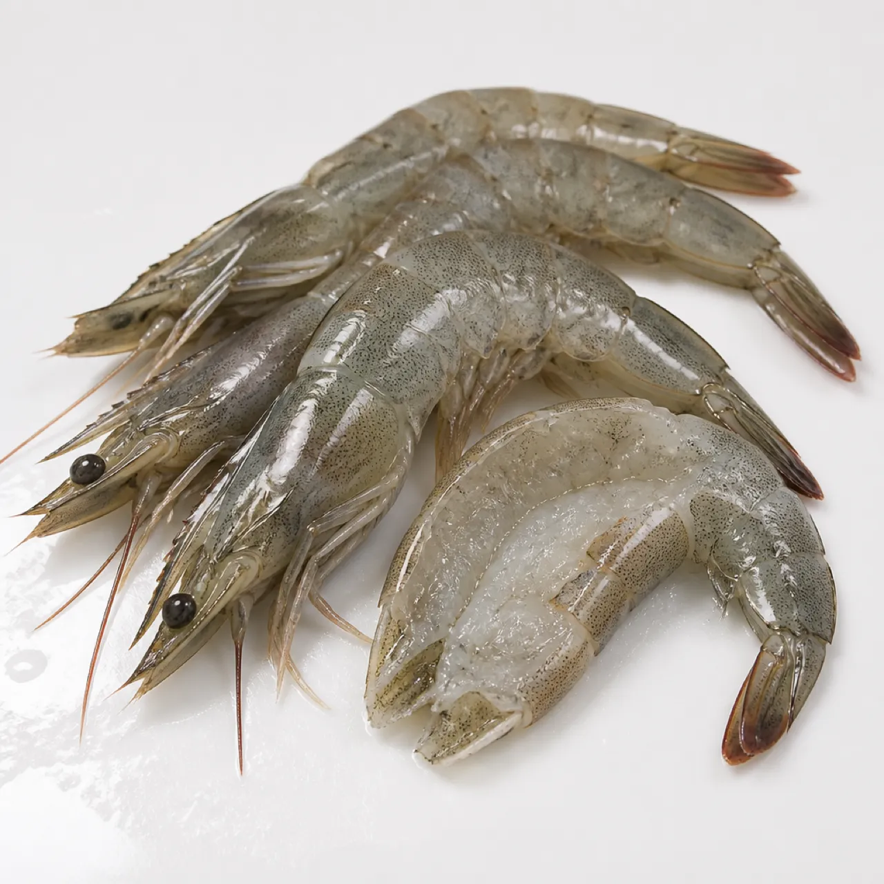 Garnele